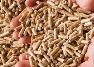 Nowy pellet drzewny klasy Premium