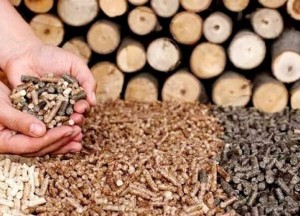 Bezpośrednia sprzedaż hurtowa w niskiej cenie: pellet sosnow